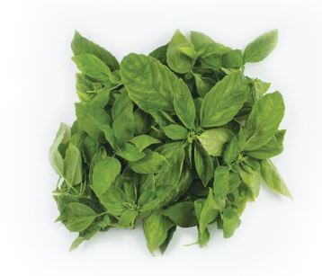 Roll over image to magnify Report incorrect product information. Skip to the beginning of the images gallery PRODUCE BASIL BAG LCL