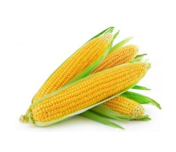 PRODUCE G.SWEET CORN
